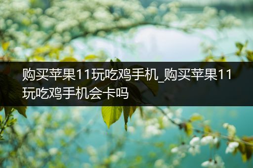 购买苹果11玩吃鸡手机_购买苹果11玩吃鸡手机会卡吗