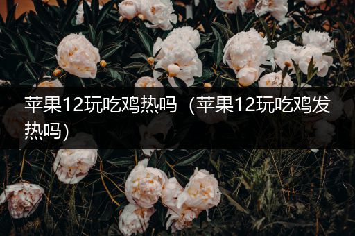 苹果12玩吃鸡热吗（苹果12玩吃鸡发热吗）
