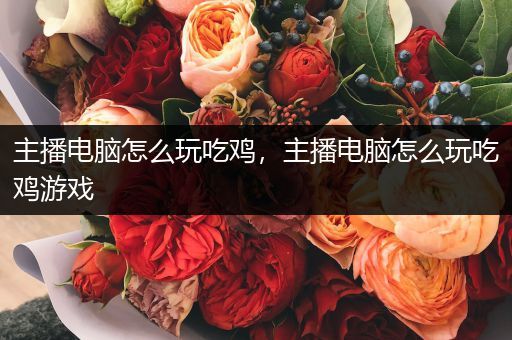 主播电脑怎么玩吃鸡，主播电脑怎么玩吃鸡游戏