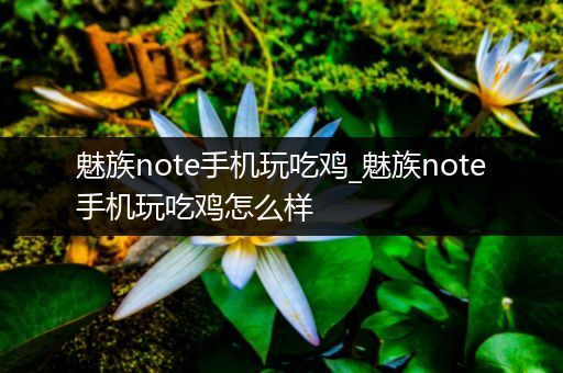 魅族note手机玩吃鸡_魅族note手机玩吃鸡怎么样