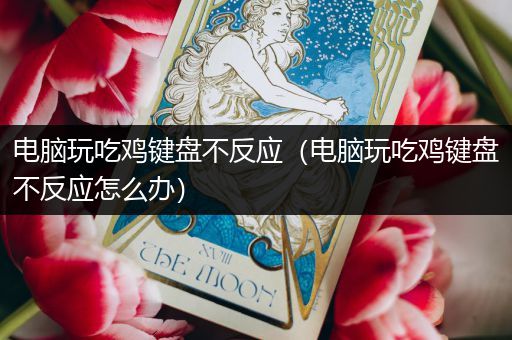 电脑玩吃鸡键盘不反应（电脑玩吃鸡键盘不反应怎么办）
