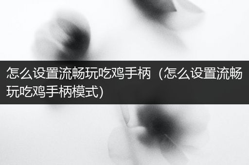 怎么设置流畅玩吃鸡手柄（怎么设置流畅玩吃鸡手柄模式）