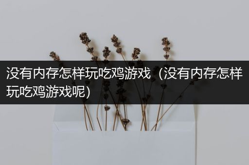 没有内存怎样玩吃鸡游戏（没有内存怎样玩吃鸡游戏呢）
