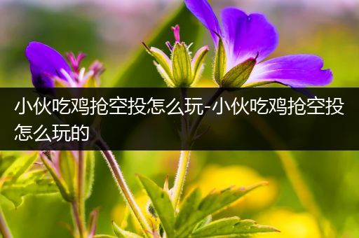 小伙吃鸡抢空投怎么玩-小伙吃鸡抢空投怎么玩的