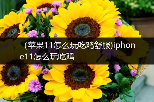 （苹果11怎么玩吃鸡舒服)iphone11怎么玩吃鸡