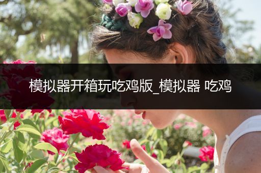 模拟器开箱玩吃鸡版_模拟器 吃鸡