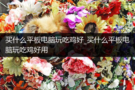 买什么平板电脑玩吃鸡好_买什么平板电脑玩吃鸡好用