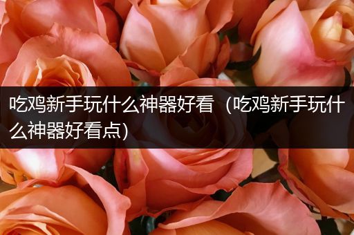 吃鸡新手玩什么神器好看（吃鸡新手玩什么神器好看点）