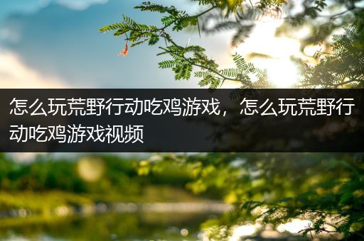 怎么玩荒野行动吃鸡游戏，怎么玩荒野行动吃鸡游戏视频