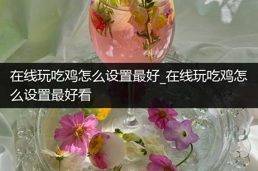 在线玩吃鸡怎么设置最好_在线玩吃鸡怎么设置最好看