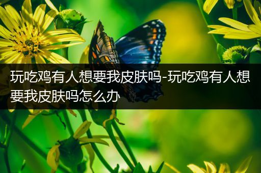 玩吃鸡有人想要我皮肤吗-玩吃鸡有人想要我皮肤吗怎么办