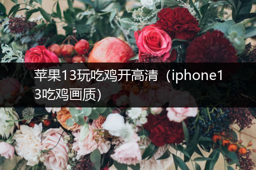苹果13玩吃鸡开高清（iphone13吃鸡画质）