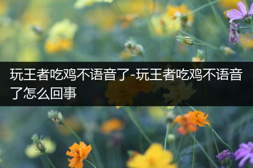 玩王者吃鸡不语音了-玩王者吃鸡不语音了怎么回事