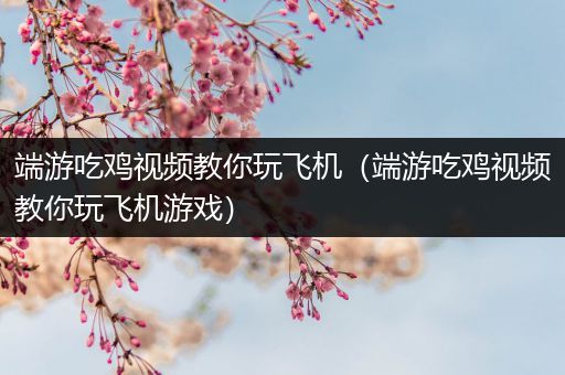 端游吃鸡视频教你玩飞机（端游吃鸡视频教你玩飞机游戏）