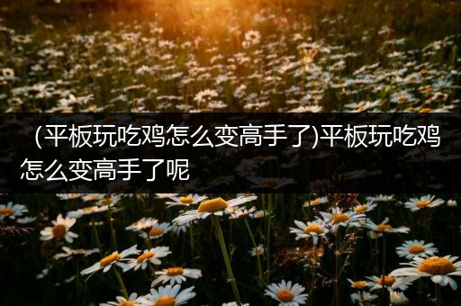 （平板玩吃鸡怎么变高手了)平板玩吃鸡怎么变高手了呢
