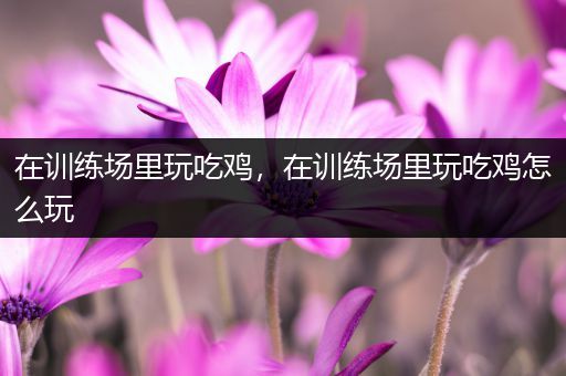 在训练场里玩吃鸡，在训练场里玩吃鸡怎么玩