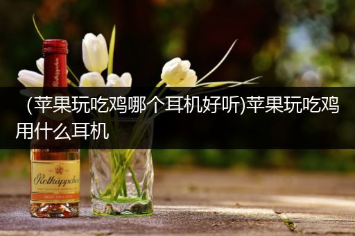 （苹果玩吃鸡哪个耳机好听)苹果玩吃鸡用什么耳机