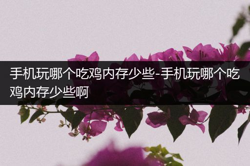 手机玩哪个吃鸡内存少些-手机玩哪个吃鸡内存少些啊