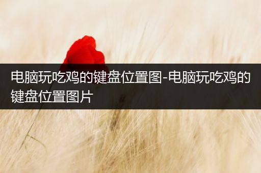 电脑玩吃鸡的键盘位置图-电脑玩吃鸡的键盘位置图片