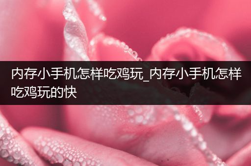 内存小手机怎样吃鸡玩_内存小手机怎样吃鸡玩的快