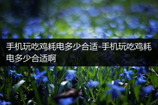手机玩吃鸡耗电多少合适-手机玩吃鸡耗电多少合适啊