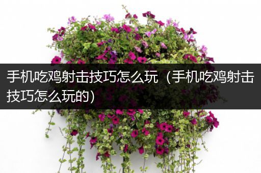 手机吃鸡射击技巧怎么玩（手机吃鸡射击技巧怎么玩的）