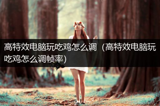高特效电脑玩吃鸡怎么调（高特效电脑玩吃鸡怎么调帧率）