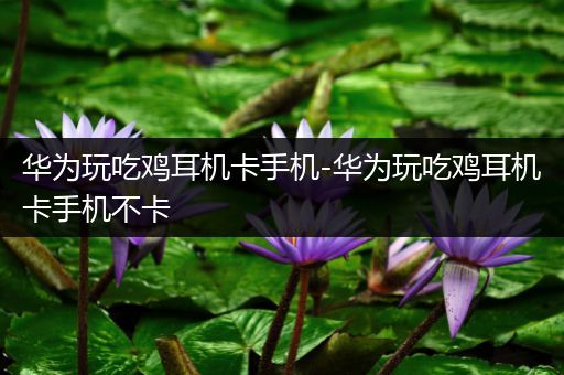 华为玩吃鸡耳机卡手机-华为玩吃鸡耳机卡手机不卡