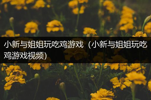 小新与姐姐玩吃鸡游戏（小新与姐姐玩吃鸡游戏视频）