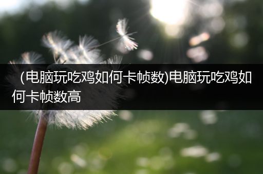 （电脑玩吃鸡如何卡帧数)电脑玩吃鸡如何卡帧数高
