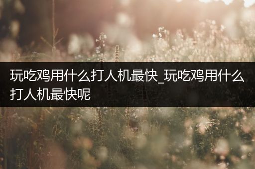玩吃鸡用什么打人机最快_玩吃鸡用什么打人机最快呢
