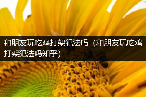 和朋友玩吃鸡打架犯法吗（和朋友玩吃鸡打架犯法吗知乎）