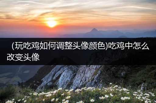 （玩吃鸡如何调整头像颜色)吃鸡中怎么改变头像