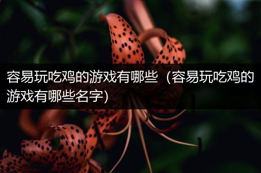 容易玩吃鸡的游戏有哪些（容易玩吃鸡的游戏有哪些名字）