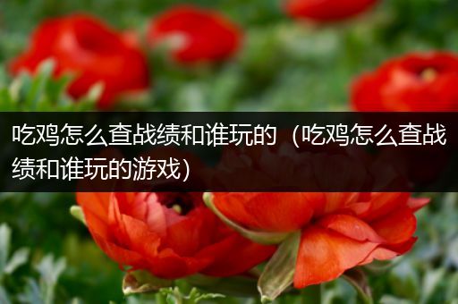 吃鸡怎么查战绩和谁玩的（吃鸡怎么查战绩和谁玩的游戏）