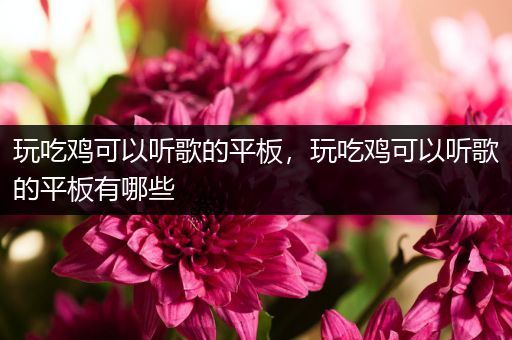 玩吃鸡可以听歌的平板，玩吃鸡可以听歌的平板有哪些