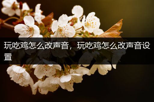 玩吃鸡怎么改声音，玩吃鸡怎么改声音设置