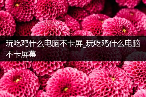 玩吃鸡什么电脑不卡屏_玩吃鸡什么电脑不卡屏幕