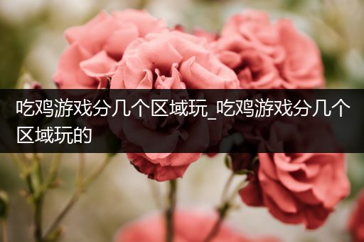 吃鸡游戏分几个区域玩_吃鸡游戏分几个区域玩的