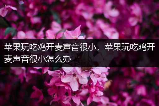 苹果玩吃鸡开麦声音很小，苹果玩吃鸡开麦声音很小怎么办
