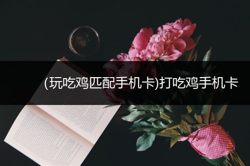（玩吃鸡匹配手机卡)打吃鸡手机卡