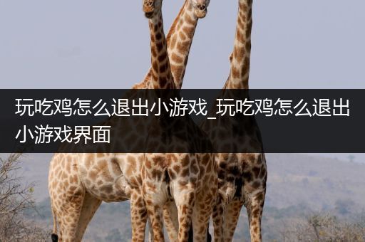 玩吃鸡怎么退出小游戏_玩吃鸡怎么退出小游戏界面