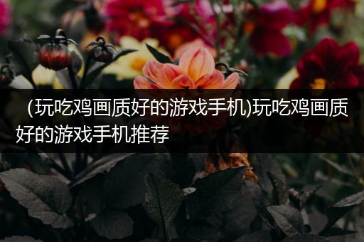 （玩吃鸡画质好的游戏手机)玩吃鸡画质好的游戏手机推荐