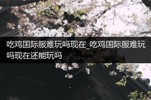 吃鸡国际服难玩吗现在_吃鸡国际服难玩吗现在还能玩吗