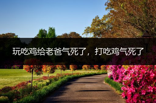 玩吃鸡给老爸气死了，打吃鸡气死了