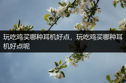 玩吃鸡买哪种耳机好点，玩吃鸡买哪种耳机好点呢