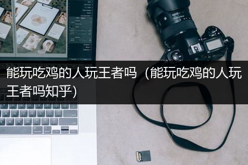 能玩吃鸡的人玩王者吗（能玩吃鸡的人玩王者吗知乎）