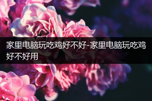 家里电脑玩吃鸡好不好-家里电脑玩吃鸡好不好用