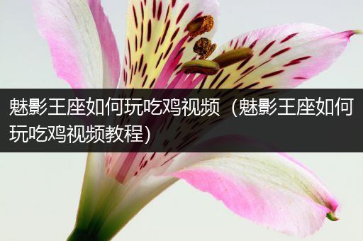 魅影王座如何玩吃鸡视频（魅影王座如何玩吃鸡视频教程）