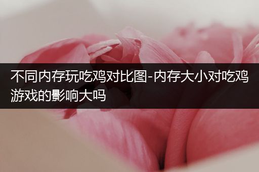 不同内存玩吃鸡对比图-内存大小对吃鸡游戏的影响大吗